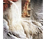Chicken - Shrek Extra Large