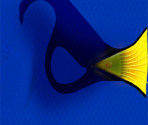 Dory - Finding Nemo
