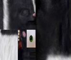 Stella - Over the Hedge
