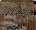 Porcupines - Over the Hedge