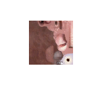 Emile - Ratatouille