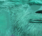 Sulley - Monsters, Inc. Scare Island