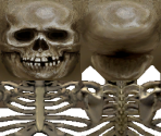 Skeleton - Ghostbusters: The Video Game