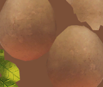 FORE Eggs - Alicia Online 2.0