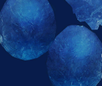 PGRI Eggs - Alicia Online 2.0