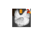Chicken - Dog's Life