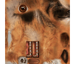 German Shepherd - Dog's Life