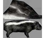 Skunk - Dog's Life
