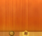 Onion - Wii Sports Club
