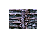 Xen - Half-Life