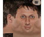 Tony Hawk - Tony Hawk's American Wasteland