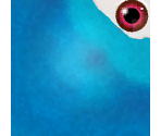 B.O.B. - Monsters vs. Aliens
