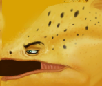Eel - Shark Tale
