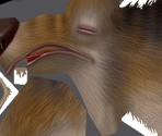 Scrat - Ice Age 2: The Meltdown