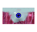 Neversoft Eyeball - Tony Hawk's Pro Skater 3