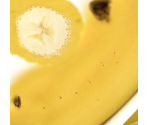 Banana - World of JumpStart
