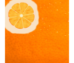 Orange - World of JumpStart