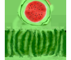 Watermelon - World of JumpStart