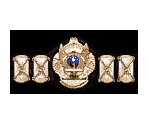 Championship Belts - WWF War Zone