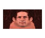 Bret Hart - WWF War Zone