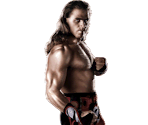 Shawn Michaels - WWE '13
