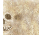 X-Ray - Tony Hawk's Pro Skater 3