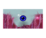 Neversoft Eyeball - Tony Hawk's Pro Skater 3