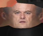 Hank - Avocado Bulk