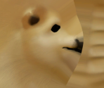 Dogehulk - Drifting With Maxwell Cat: The Game