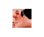 Gusteau - Ratatouille