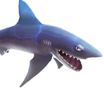 Mako Shark - Hungry Shark Evolution