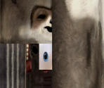 RJ - Over the Hedge