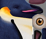 Female Penguin - Happy Feet