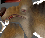 Scrat - Ice Age 2: The Meltdown