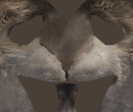 Squint - Ice Age: Continental Drift – Arctic Games