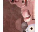 Emile - Ratatouille