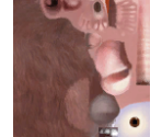 Emile - Ratatouille