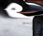 Mumble (Adult) - Happy Feet