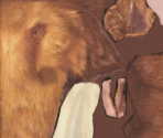 Manny - Ice Age: Continental Drift – Arctic Games