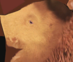 Ellie - Ice Age: Continental Drift – Arctic Games
