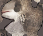 Squint - Ice Age: Continental Drift – Arctic Games