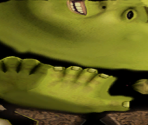Shrek - DreamWorks Super Star Kartz
