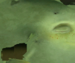 Male Teen (1) - Planet 51