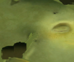 Male Teen (2) - Planet 51