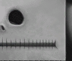 Jack Skellington - The Nightmare Before Christmas: Oogie's Revenge