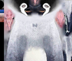 HOME Menu Banner - Happy Feet Two