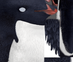 Rinaldo - Happy Feet