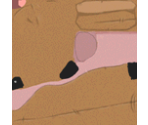 Kanga - Piglet's Big Game
