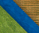 Ground Textures - Age of Empires II