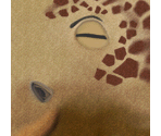 Melman - Madagascar